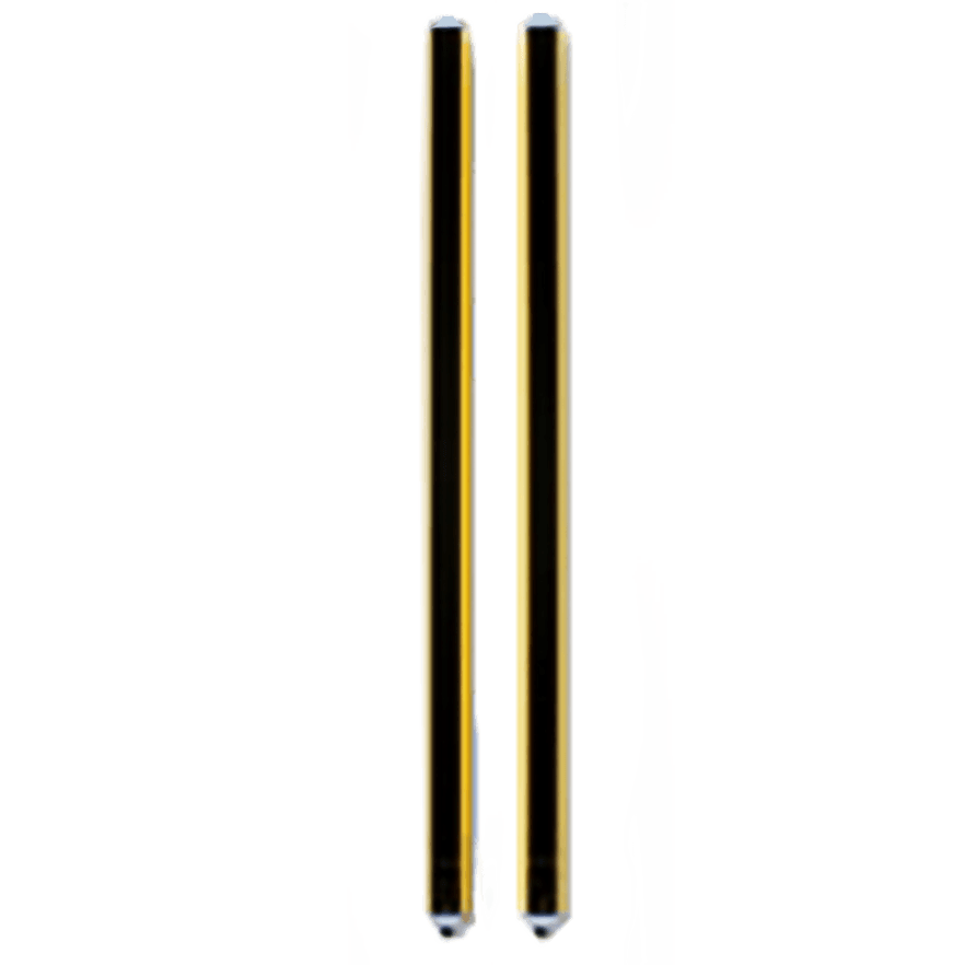 Datalogic SG2 EXTENDED