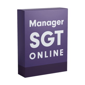 Manager SGT Online     